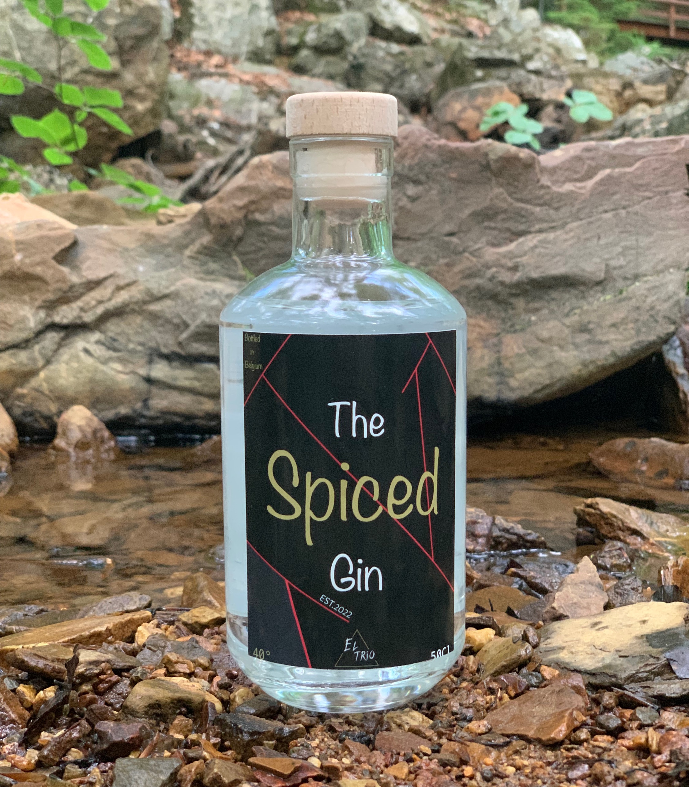 The Spiced Gin
